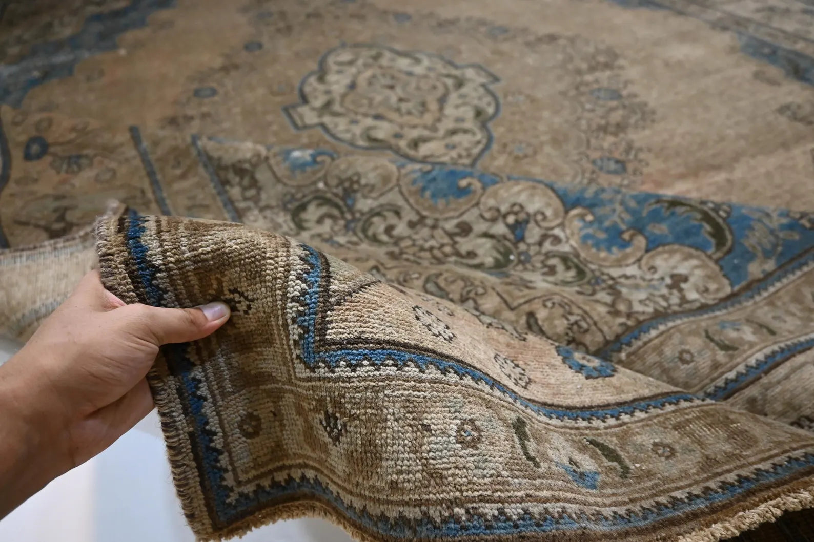 Aurelion  9’6” × 12’7”