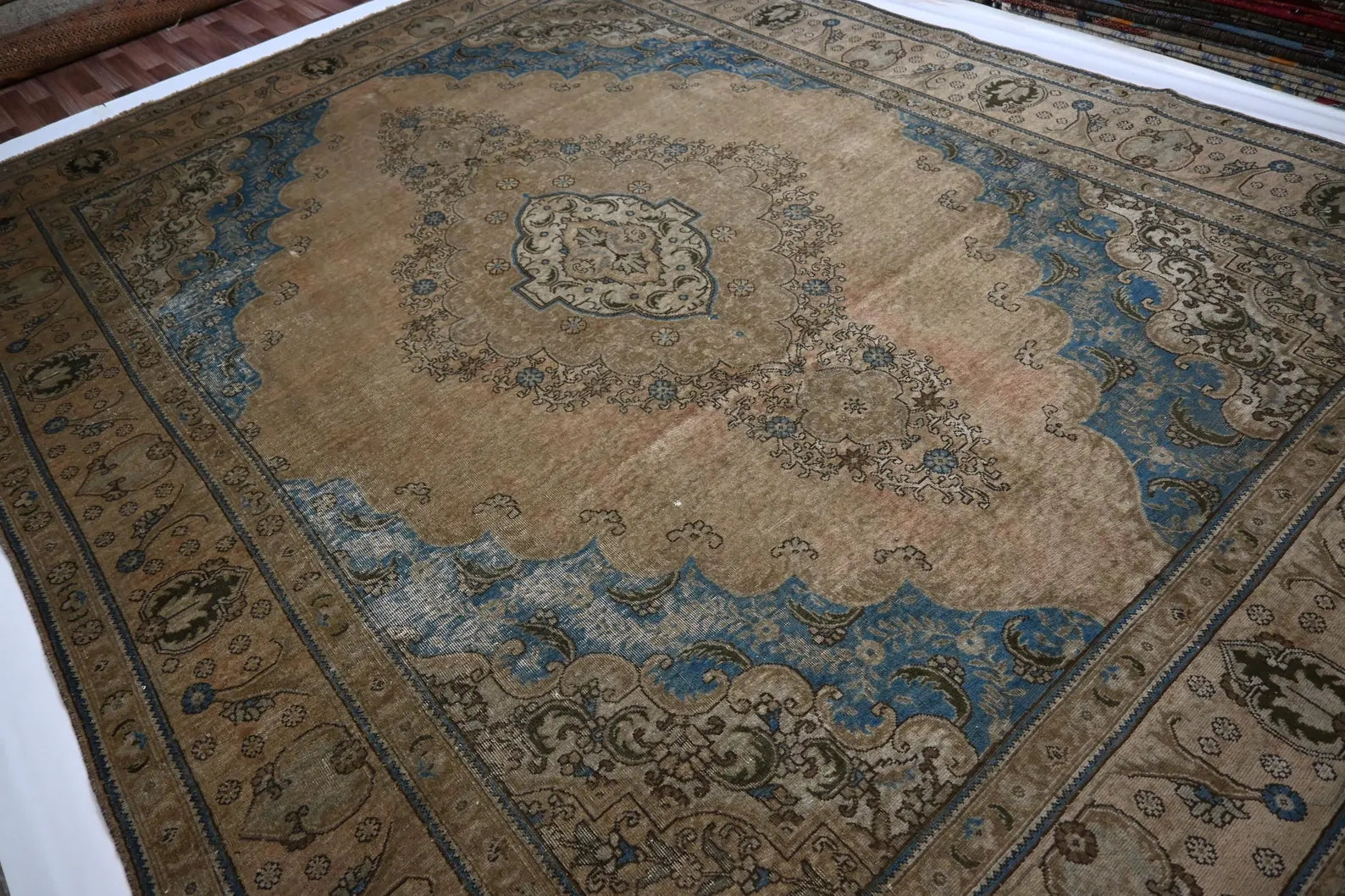 Aurelion  9’6” × 12’7”