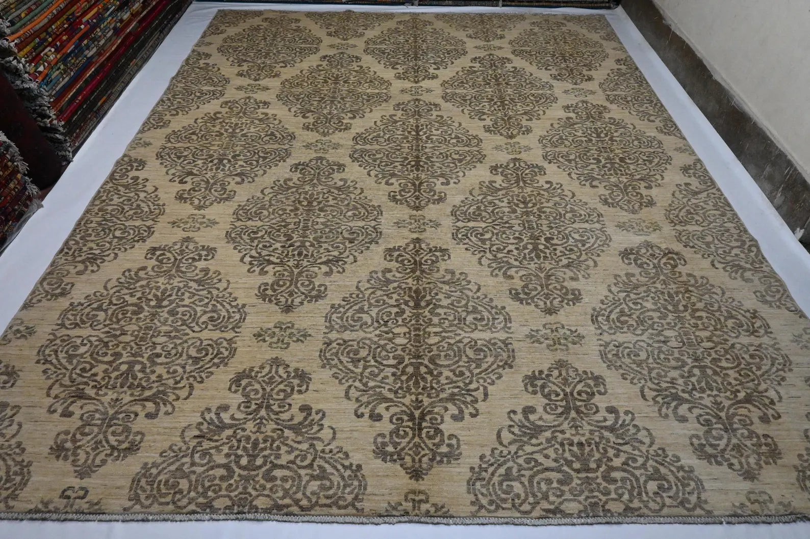 Elvior 9’3” × 11’9”