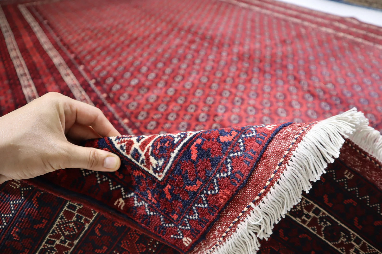 Burghan 8'1" × 11'6"