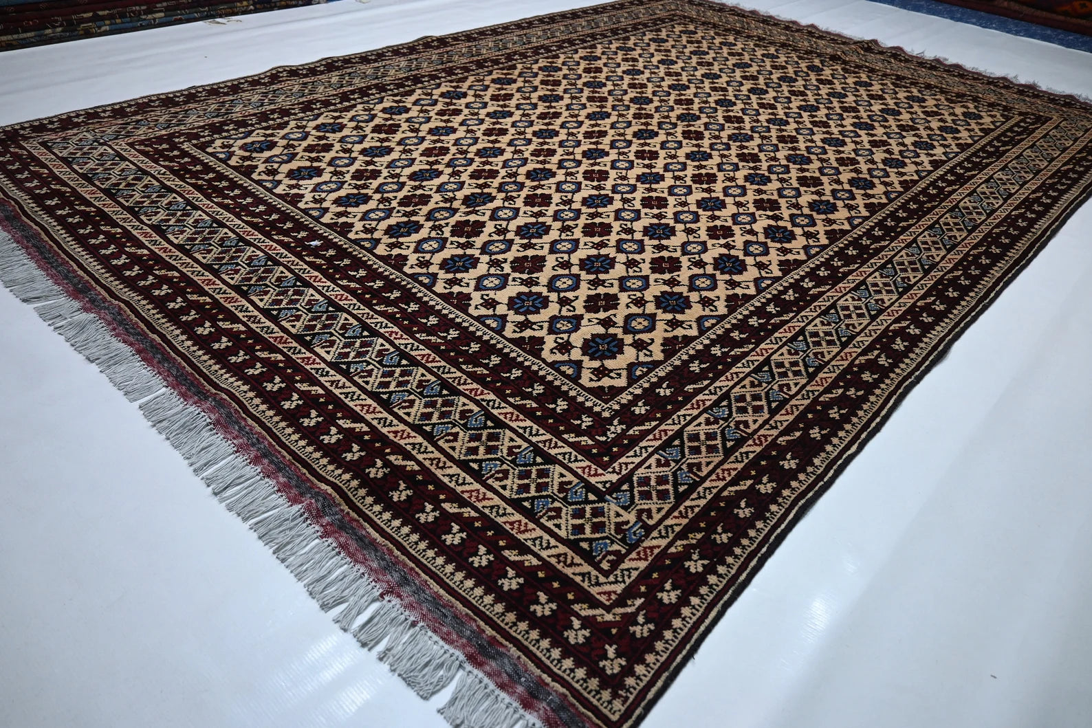 Bezhara 6'5" × 9'9"