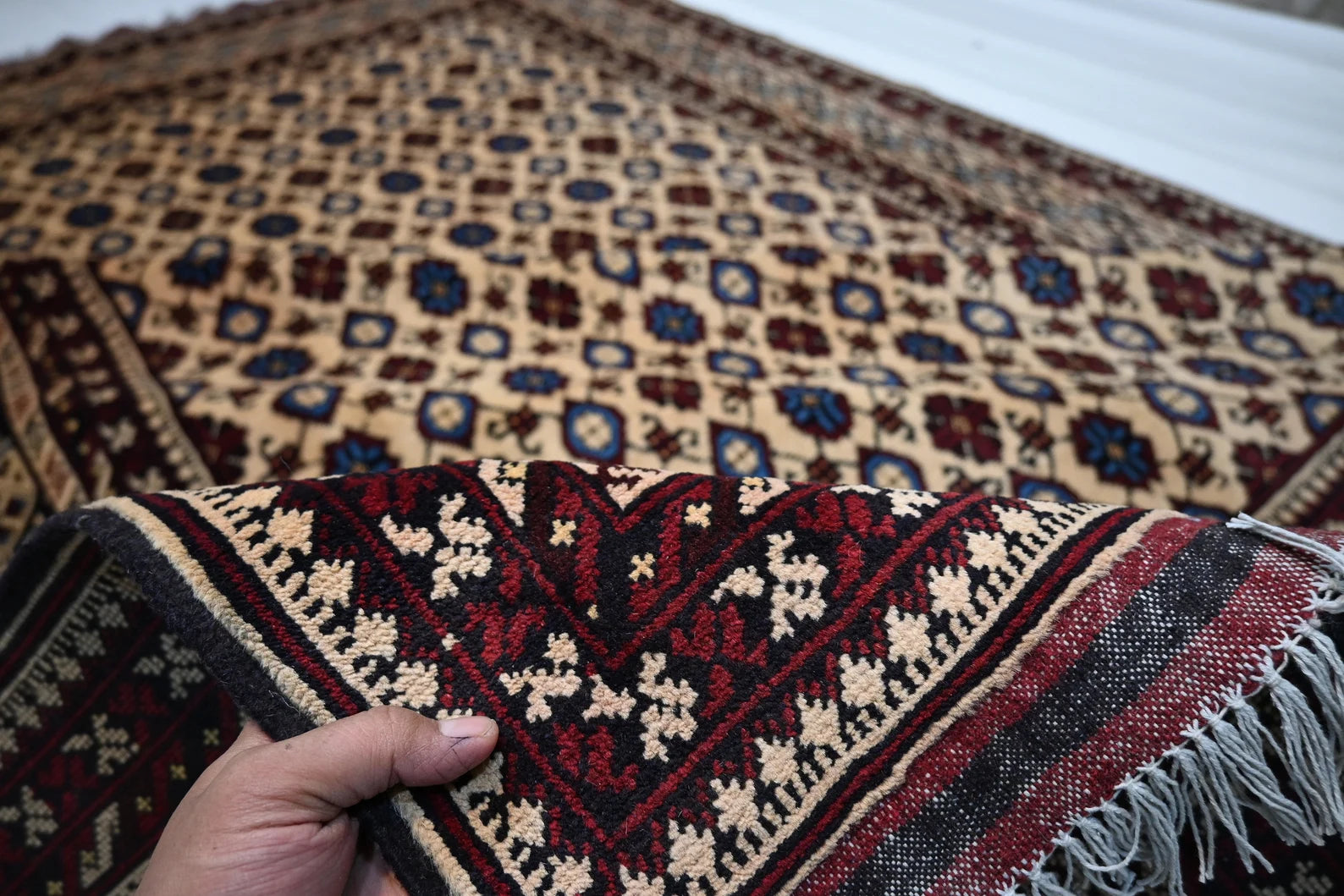 Bezhara 6'5" × 9'9"