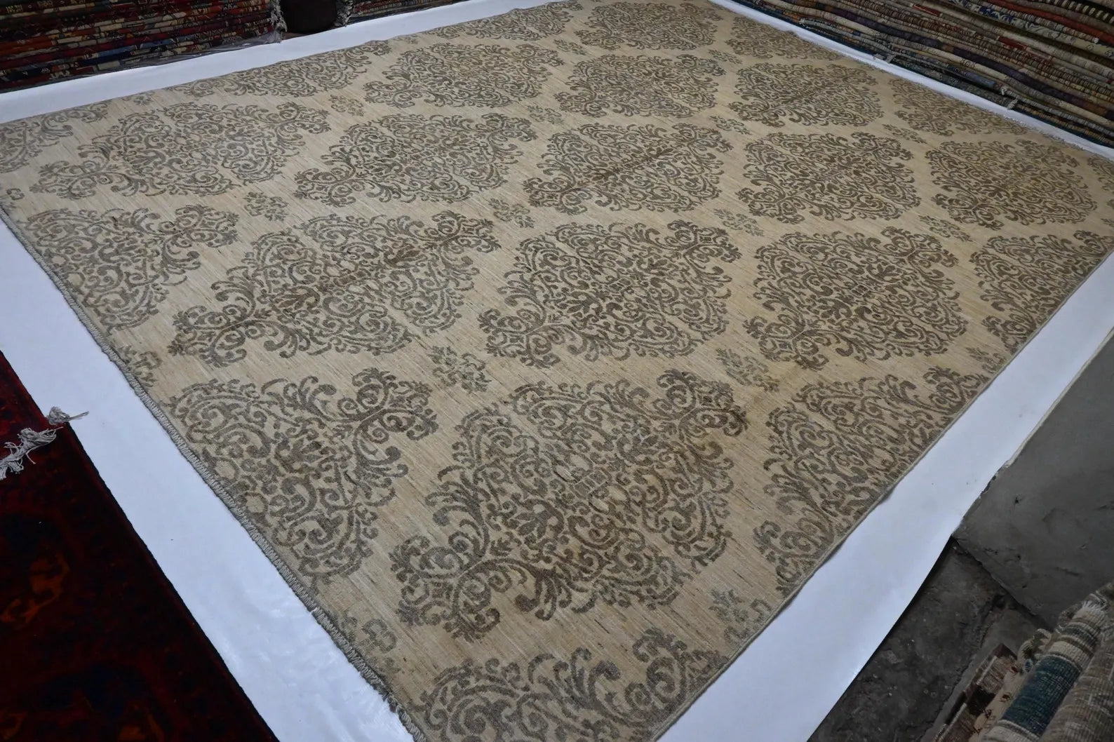 Elvior 9’3” × 11’9”