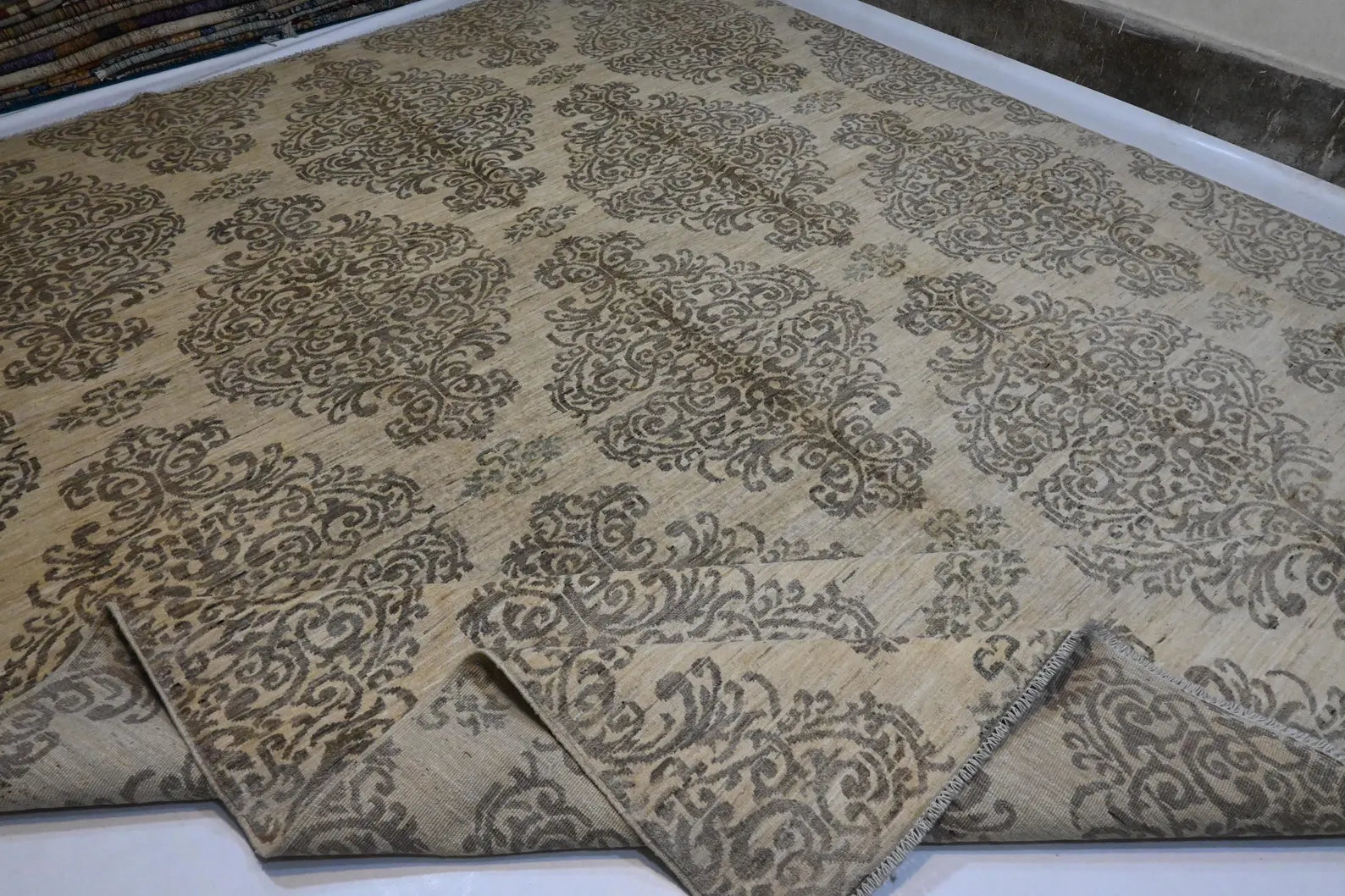 Elvior 9’3” × 11’9”