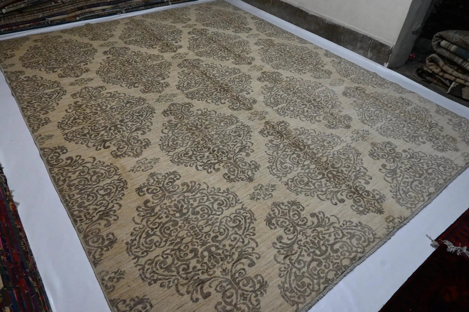 Elvior 9’3” × 11’9”