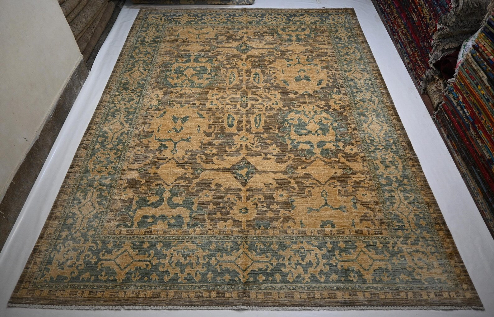 Olive Horizon 9’0” × 12’0”