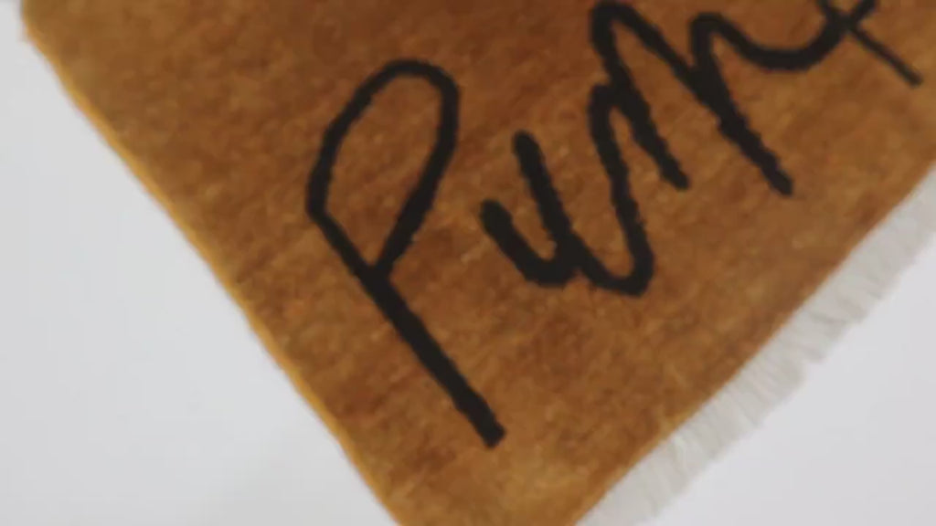 Hey There Pumpkin 2'0" × 3'0"