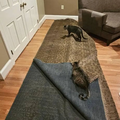 Lyla Shujaei review image 2